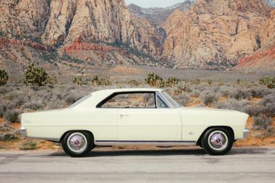 Vintage Desert Cruiser