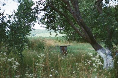Quiet Countryside