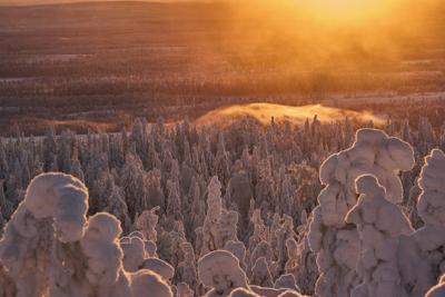 Golden Winter Sunset